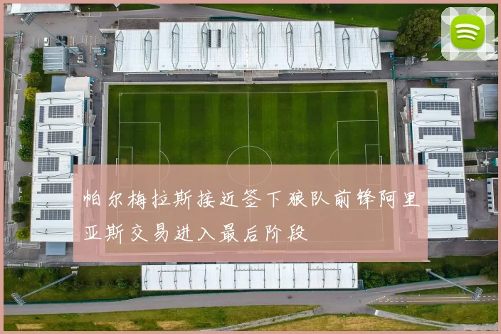 帕尔梅拉斯接近签下狼队前锋阿里亚斯交易进入最后阶段